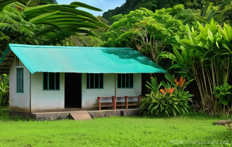 바누아투의 의료비용 수준 - A picturesque scene in Vanuatu, with emerald ocean waters and lush green vegetation in the backgroun...