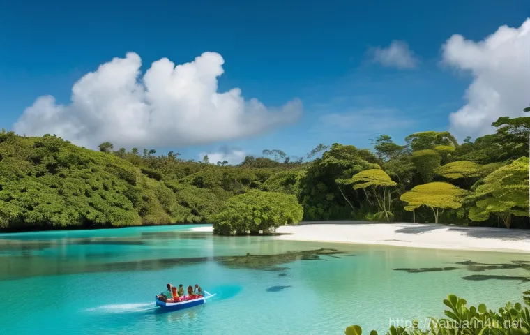 바누아투에서 자동차 렌트 방법 - Inside a brightly lit car rental office at an airport in Vanuatu. A friendly local staff member, wea...